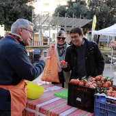 La festa de la Taronja