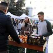 La festa de la Taronja