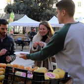La festa de la Taronja