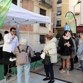 La festa de la Taronja