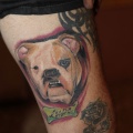 Castellón Tattoo Convention