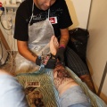 Castellón Tattoo Convention