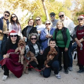 Paella amb Pilotes de Nadal