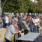 Paella amb Pilotes de Nadal