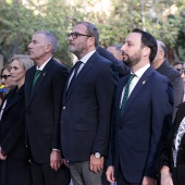 Día Nacional de Rumanía