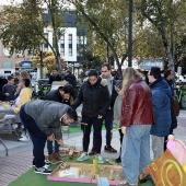 Día Internacional de las Personas con Discapacidad