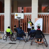 Día Internacional de las Personas con Discapacidad