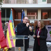 Día Internacional de las Personas con Discapacidad