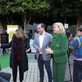 Día Internacional de las Personas con Discapacidad