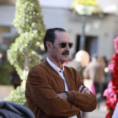 Día de la Constitución