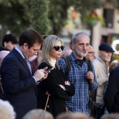 Día de la Constitución