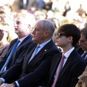 Día de la Constitución