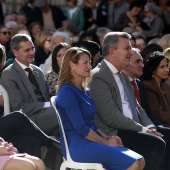 Día de la Constitución