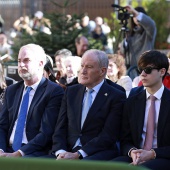 Día de la Constitución