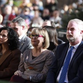 Día de la Constitución