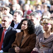 Día de la Constitución