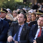 Día de la Constitución