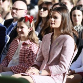 Día de la Constitución