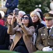 Día de la Constitución