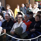 Día de la Constitución