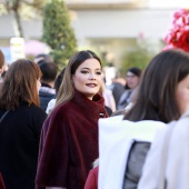 Día de la Constitución