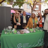 Fireta de Santa Llúcia