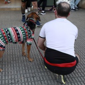 Sant Silvestre Castelló