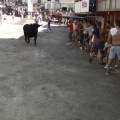 Castellón, Segorbe 2011