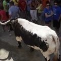 Castellón, Segorbe 2011