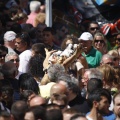 Castellón, Segorbe 2011