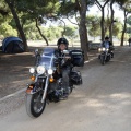 Big Twin 2011