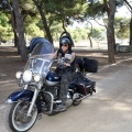 Big Twin 2011