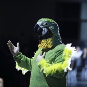 Gaiata 16 Rafalafena