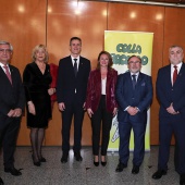 Guillermo Lleó, Bacalao Maravillao 2026