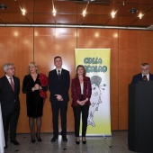 Guillermo Lleó, Bacalao Maravillao 2026