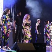 Homenaje a las comisiones de sector