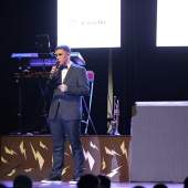 Homenaje a las comisiones de sector