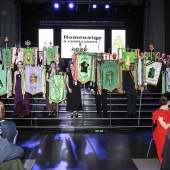 Homenaje a las comisiones de sector