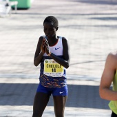 Maratón bp y 10K Facsa