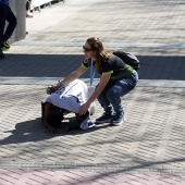 Maratón bp y 10K Facsa