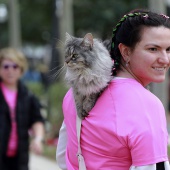 XX Cursa de les Dones