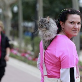 XX Cursa de les Dones