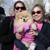 XX Cursa de les Dones