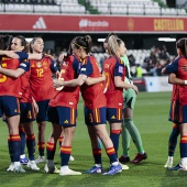 España-Islandia, 3-0