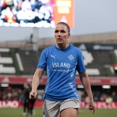 España-Islandia, 3-0