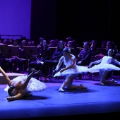 Premios Moros d´Alqueria 2026