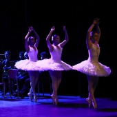 Premios Moros d´Alqueria 2026