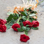 Homenaje al rey En Jaume I