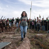 Romería de les Canyes