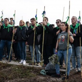 Romería de les Canyes